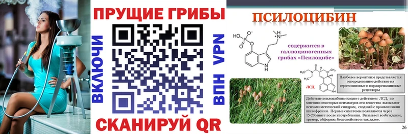 Псилоцибиновые грибы мухоморы  Купить  Карталы 